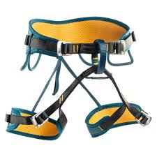 Climbing Harness